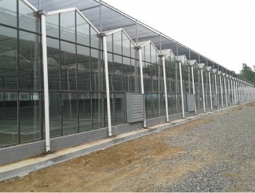 玻璃PC温室