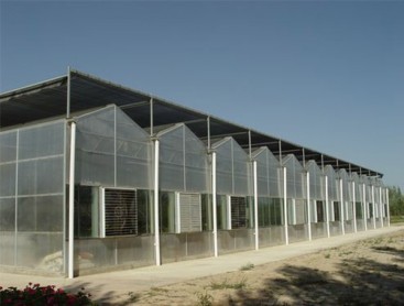 Glass greenhouse