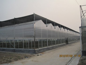 玻璃PC温室