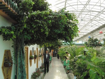 生态餐厅