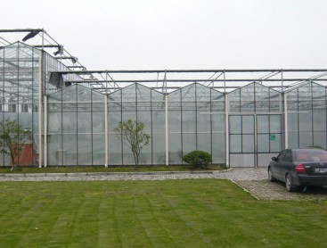 Venlo glass PC greenhouse