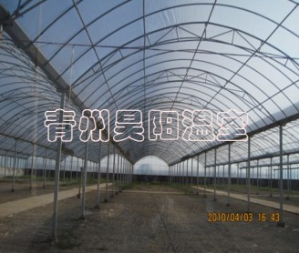 智能连栋膜温室