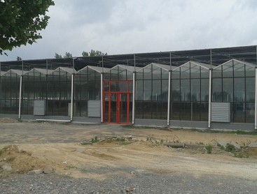玻璃PC温室