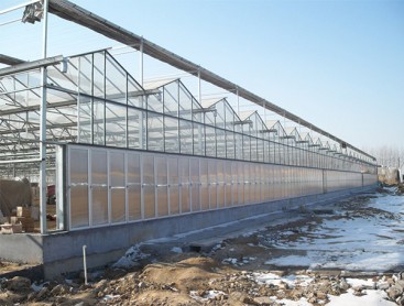 Glass greenhouse