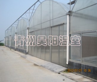 智能连栋膜温室