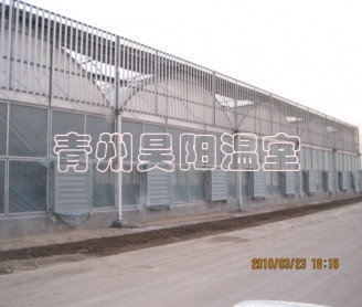 连栋温室大棚