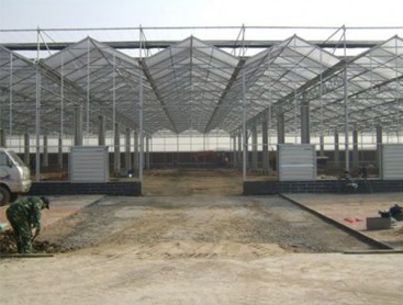 Glass greenhouse