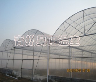 智能连栋膜温室