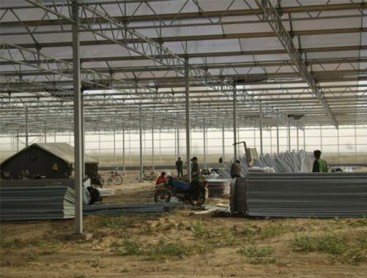 Venlo glass PC greenhouse