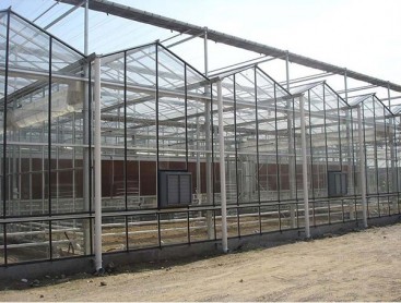 Venlo glass PC greenhouse