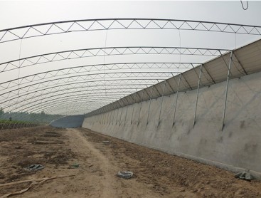 蔬菜大棚建设