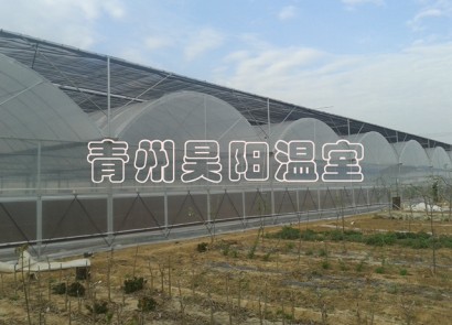 诸城建设中温室
