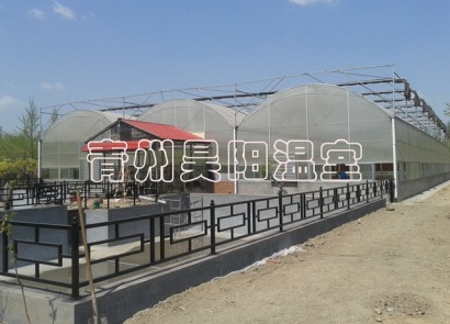 淄博建设中温室