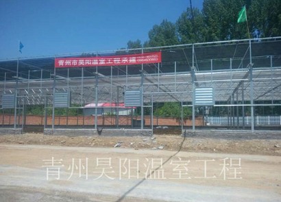 河南栾川兰花村花卉市场