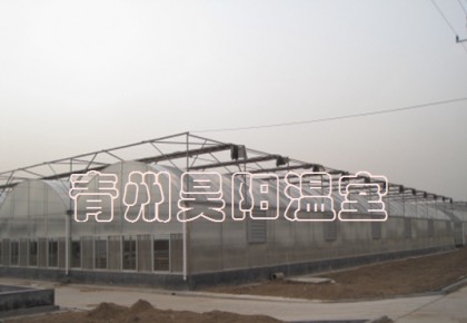 连栋大棚