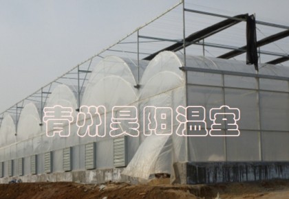 双拱双膜温室