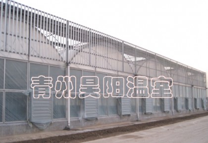 连栋温室大棚