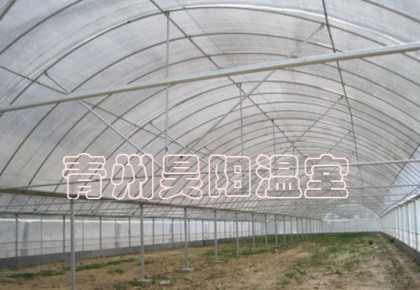 双拱双膜温室