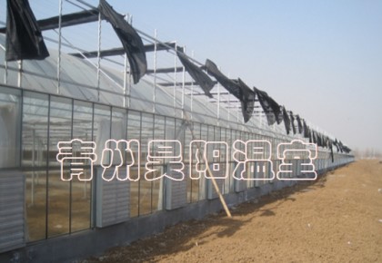 智能连栋膜温室