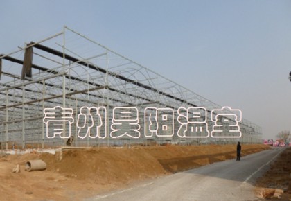 智能连栋膜温室