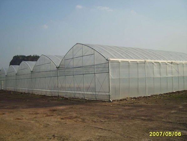 Intelligent multi-span greenhouse