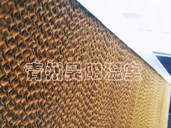 水帘