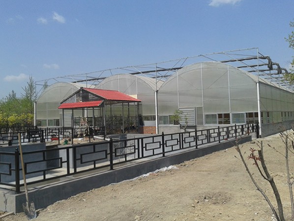 智能连栋膜温室