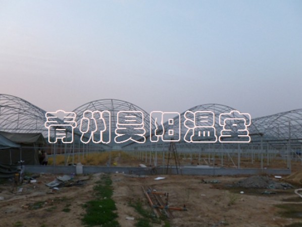 连栋大棚
