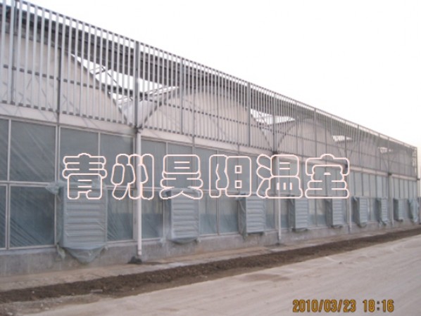 连栋温室大棚