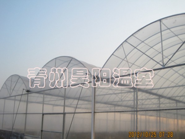 智能连栋膜温室