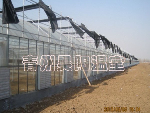 智能连栋膜温室
