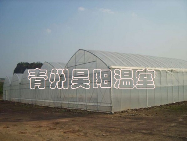 Intelligent multi-span greenhouse