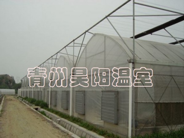 智能连栋膜温室
