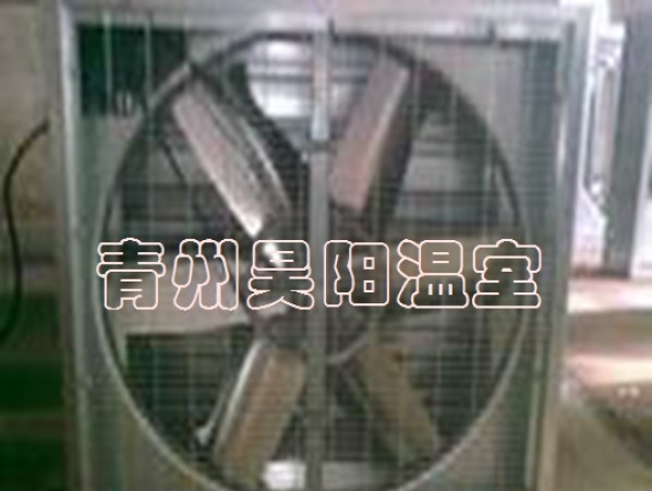 风机