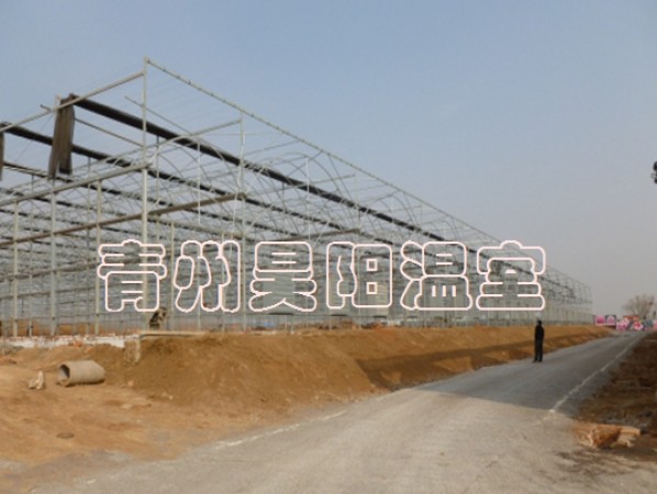 智能连栋膜温室