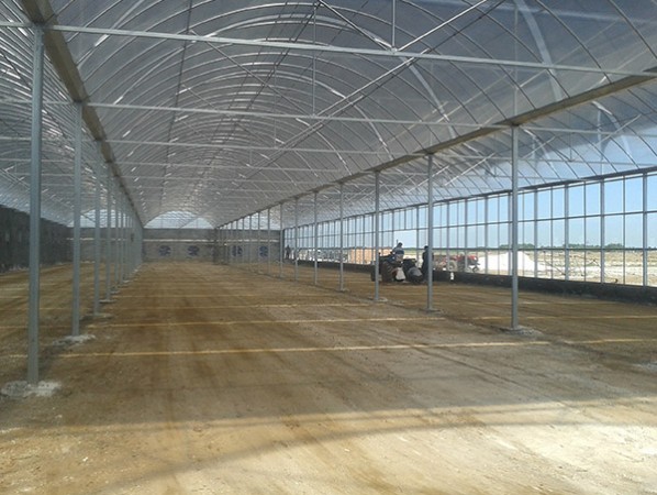 智能连栋膜温室