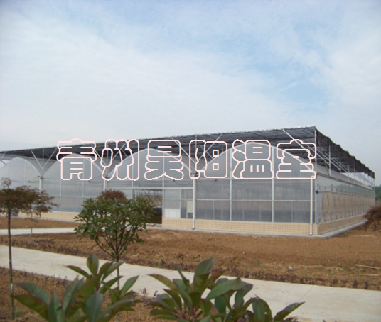 智能连栋膜温室